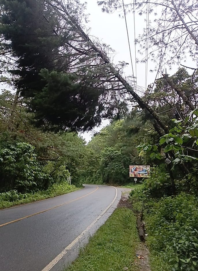 ConredGuatemala's tweet photo. #BajaVerapaz A través de la #UGAM y la #CODRED se coordinan acciones tras caída de árbol registrada en el kilómetro 149.8, CA-14, aldea Niño Perdido, Salamá, Baja Verapaz.
Fotografía: Sistema CONRED. https://t.co/aLItqtxjjq