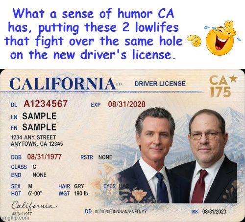 SteveH7222's tweet photo. @MCGOP_CA https://t.co/RPnNgdlwnw