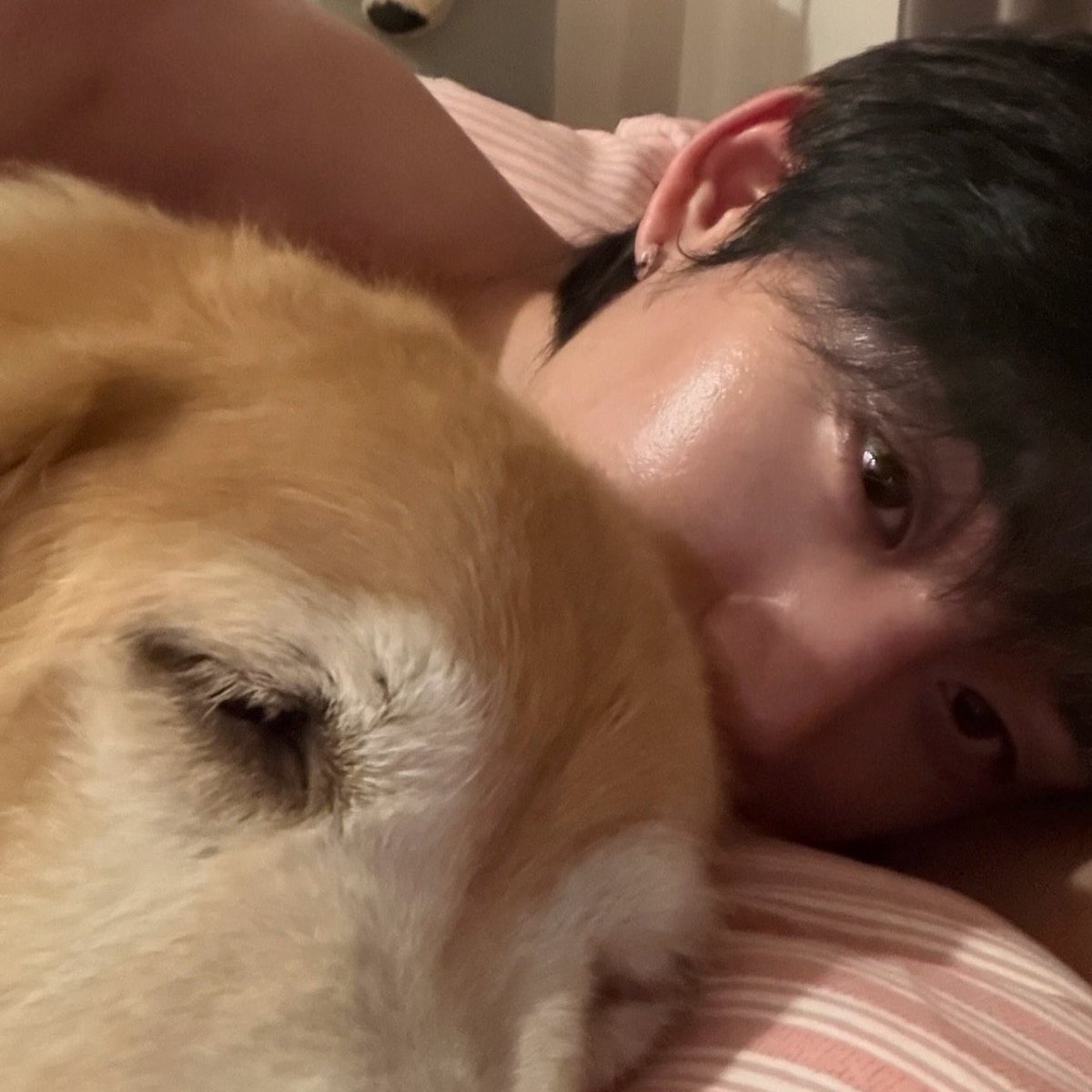 iwbpivbpisp's tweet photo. est with his golden retrievers https://t.co/9RpdFiurlm
