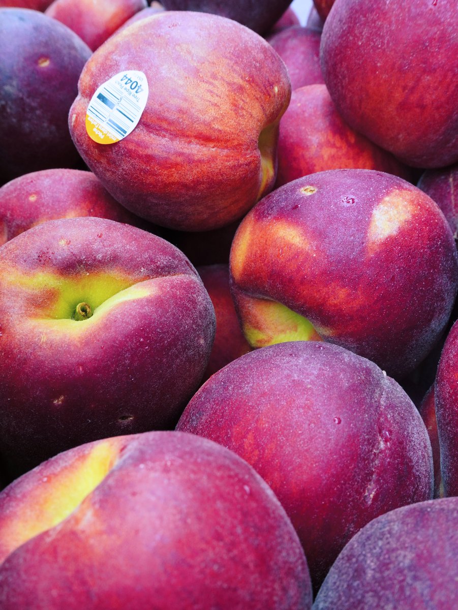 KimballProduce's tweet photo. Summer's sweetest arrival. 🍑Yellow peaches are back with the color, flavor, and quality that make them a seasonal favorite. Proud to help bring the best to our customers at Kimball Produce Sales. #YellowPeaches #FreshProduce #StoneFruit https://t.co/JiabsschcA