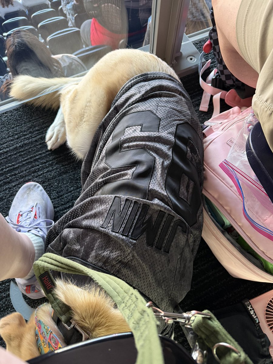 info_jimin's tweet photo. Fofura! O cãozinho que #JIMIN interagiu em Bruxelas está presente no show de hoje e com sua merch especial de Jimin stan. https://t.co/58Uxe9WkgZ