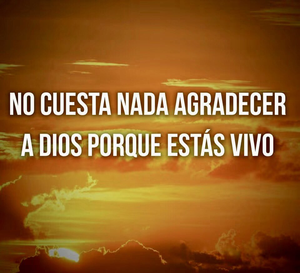 JOLUSAH's tweet photo. Feliz inicio de semana🙏 https://t.co/B41LiMJkqJ