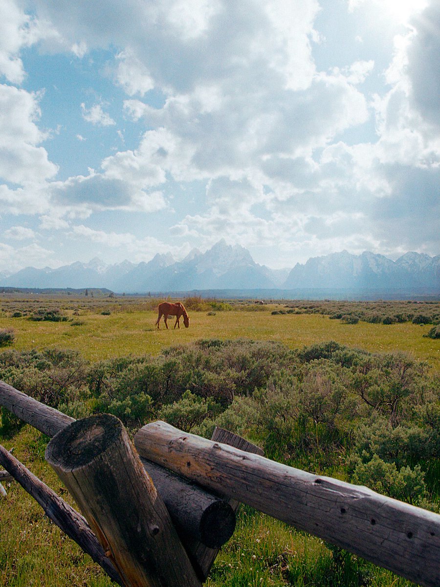 nev_in_color's tweet photo. out west 🐎 https://t.co/OB75oIEuxm