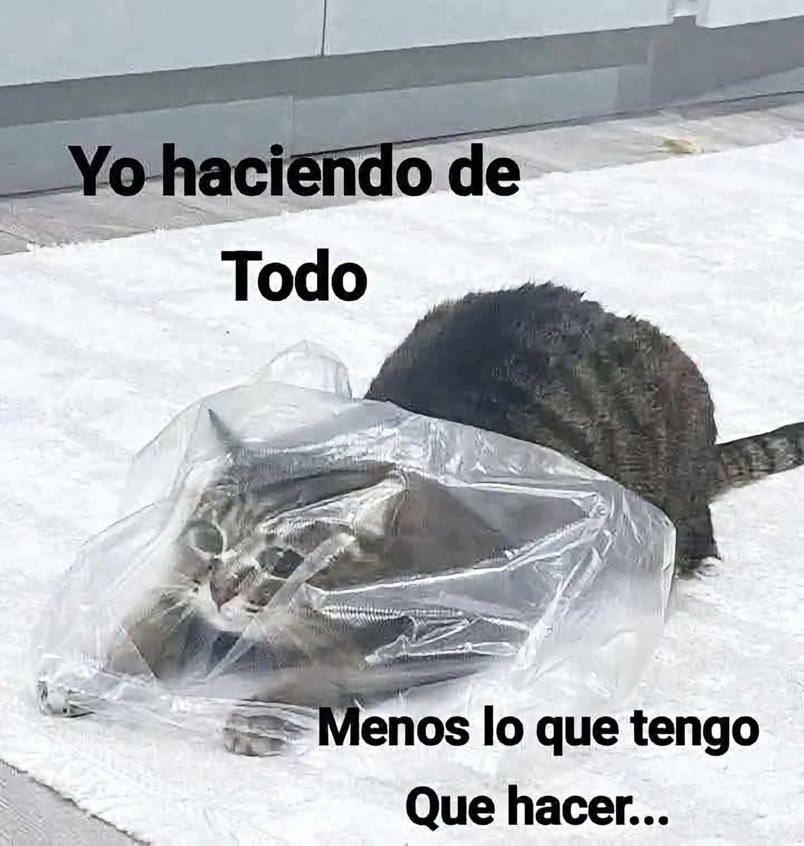 Mantequilla90's tweet photo. https://t.co/8OYowEdGv7