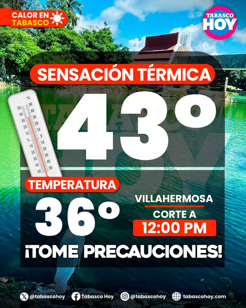 TabascoHOY's tweet photo. #ClimaTH ☀️ l La sensación térmica en Villahermosa alcanza los 43°C, mientras que la temperatura ambiente se ubica en 36°C, de acuerdo con el último corte de la 12:00 del día. #Tabasco.
👉 https://t.co/XgVUDpMfck https://t.co/lVGKWU4LqS