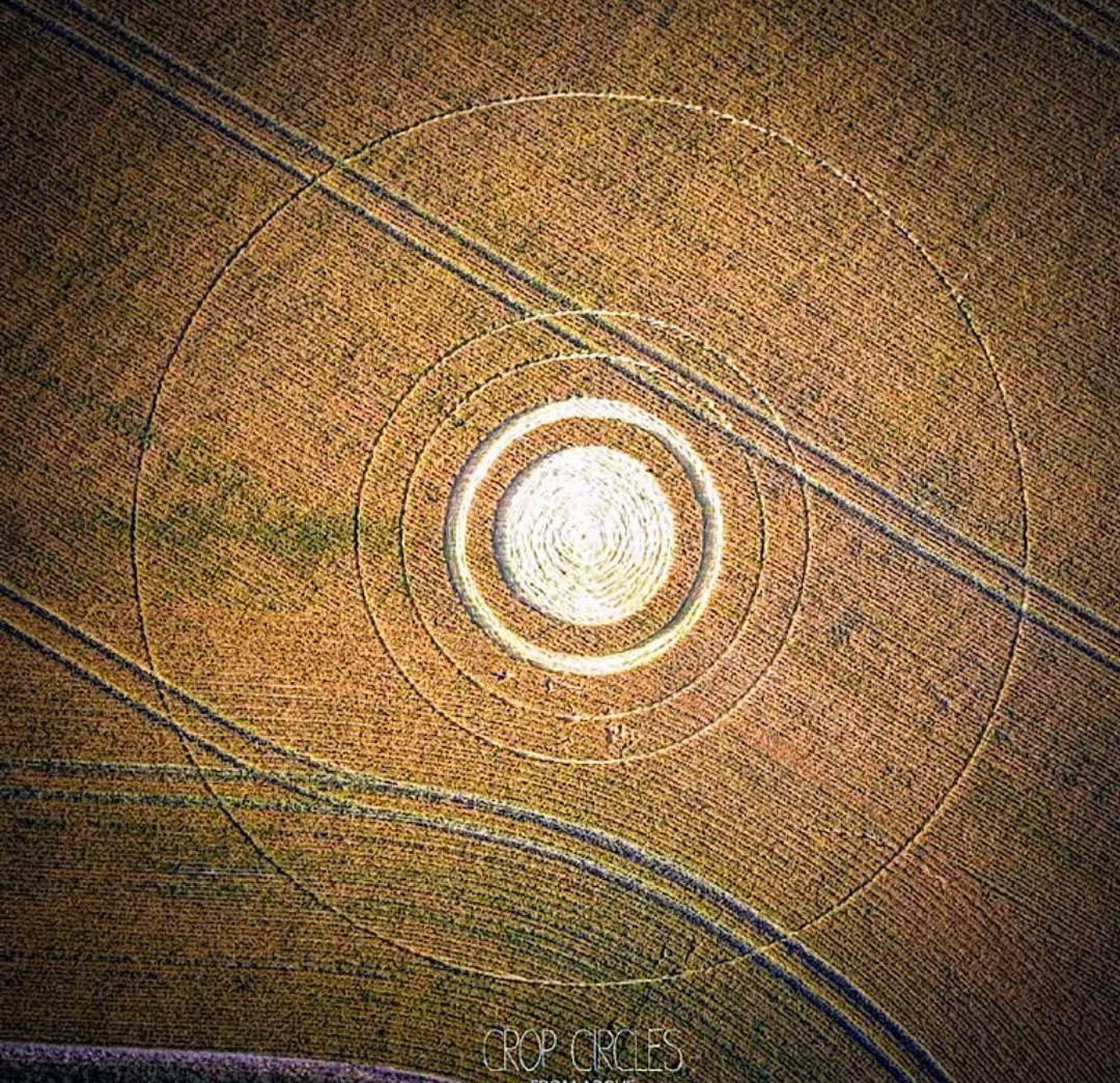 krystallineaura's tweet photo. Crop circles from July 3rd-5th! I mentioned for July's energy predictions about crop circles as I saw them increasing and the month just got started. All frequency based messages too! Exactly where earth is ascending in frequency too. Powerful! https://t.co/tjqlgLlmQ5