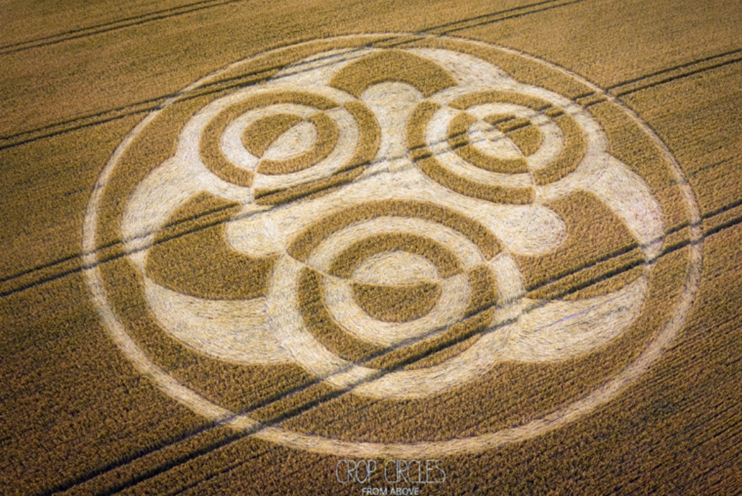 krystallineaura's tweet photo. Crop circles from July 3rd-5th! I mentioned for July's energy predictions about crop circles as I saw them increasing and the month just got started. All frequency based messages too! Exactly where earth is ascending in frequency too. Powerful! https://t.co/tjqlgLlmQ5