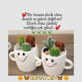 Palermo_125's tweet photo. @AdemCellGunDem https://t.co/UM0qtcdPB6