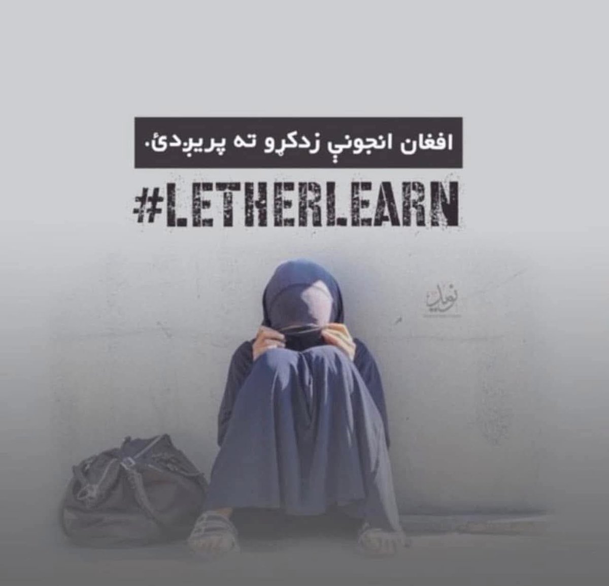 WardakNihan's tweet photo. په نړی کی به داسي هیواد وي چی په پينځو کلونو کي يوه يوه نرسه هم نوي فارغه کړي؟
د کانکور مبارکي به څنګه ووایو ،په داسي حال کي چي د انجونو زدکړی دروازی تړلي، د عصري زده‌کړو نوم او نښه له منځه تللي او د زرګونو با استعداده انجونو هیلی د چوپتیا په تیارو کي خاوري شوي دي.
#انجونو_ښونځي_ https://t.co/CPAP0Zp9bR