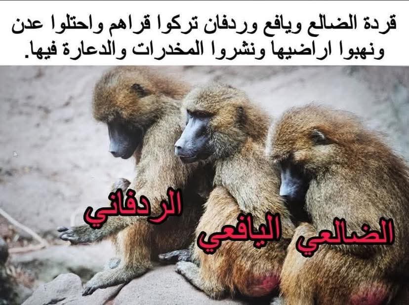 1ftv8v's tweet photo. @Aisha5637 لاتعليق https://t.co/u0DMa7O7VS