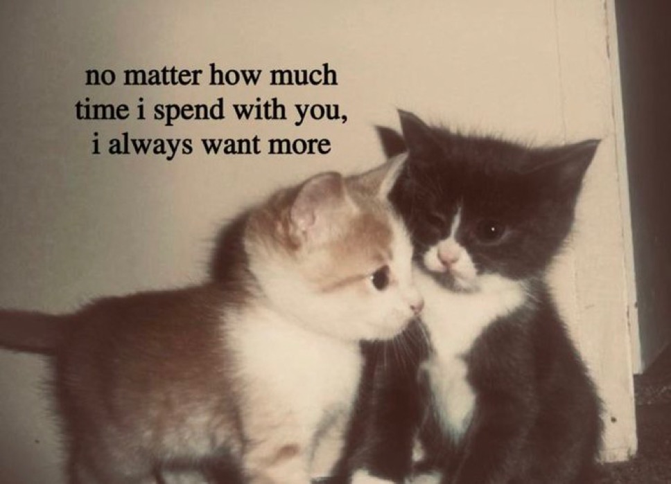 love_msgs_'s tweet photo. https://t.co/e8VnSHE7Cv