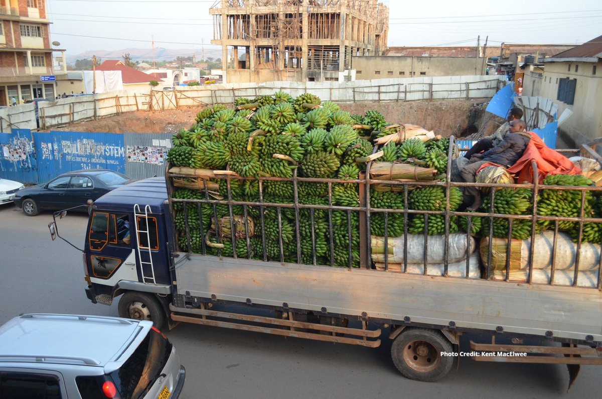 IFPRI tweet picture
