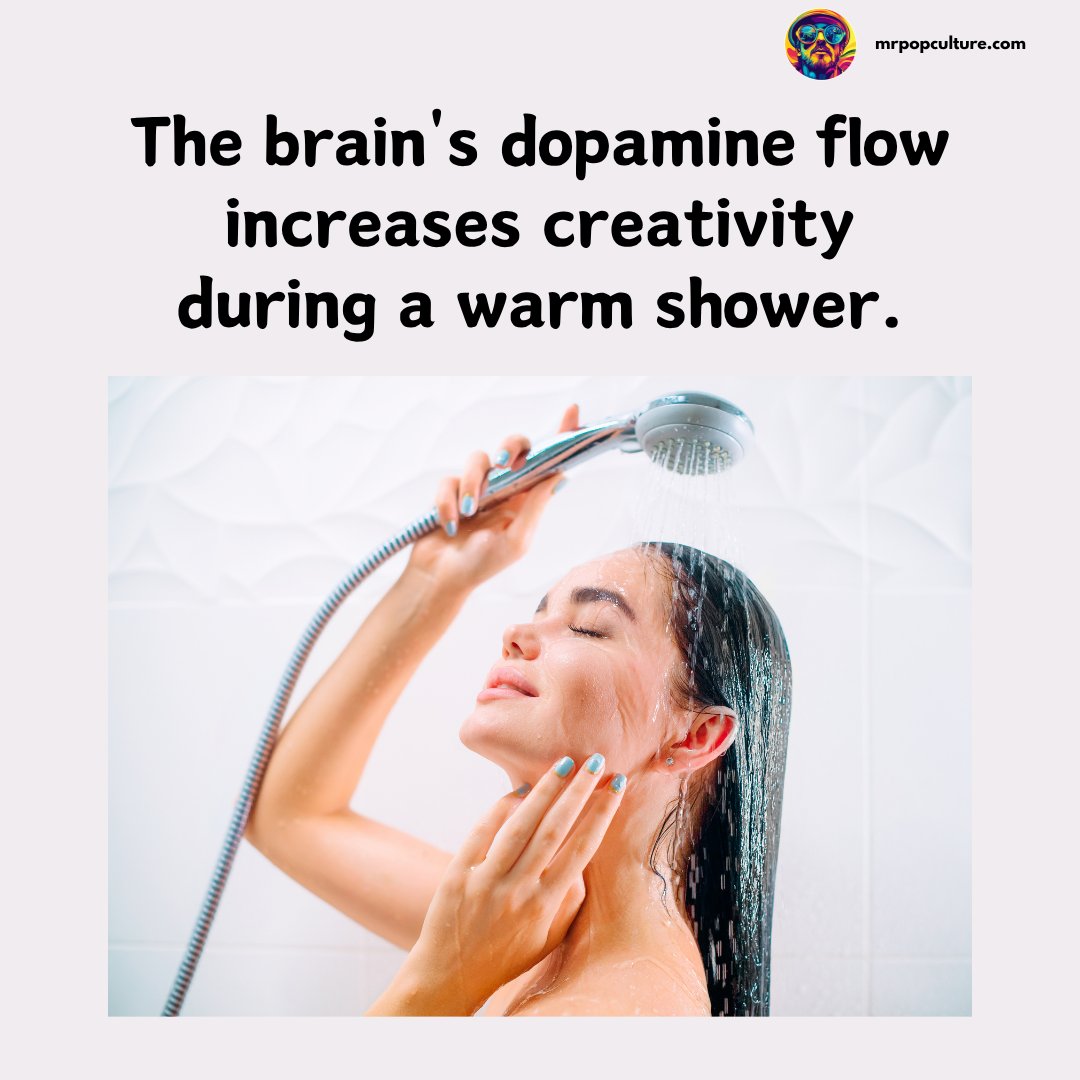 itsmrpopculture's tweet photo. Apparently the best ideas donβt happen at a deskβ¦ they happen under warm water with shampoo in your eyes. πΏπ‘π
Who else gets their most genius thoughts mid-shower?
#FunFacts #BrainFacts #CreativityBoost #ShowerThoughts #DidYouKnow #MindBlown #ScienceFacts #WellnessVibes #CreativeMind #DopamineFlow