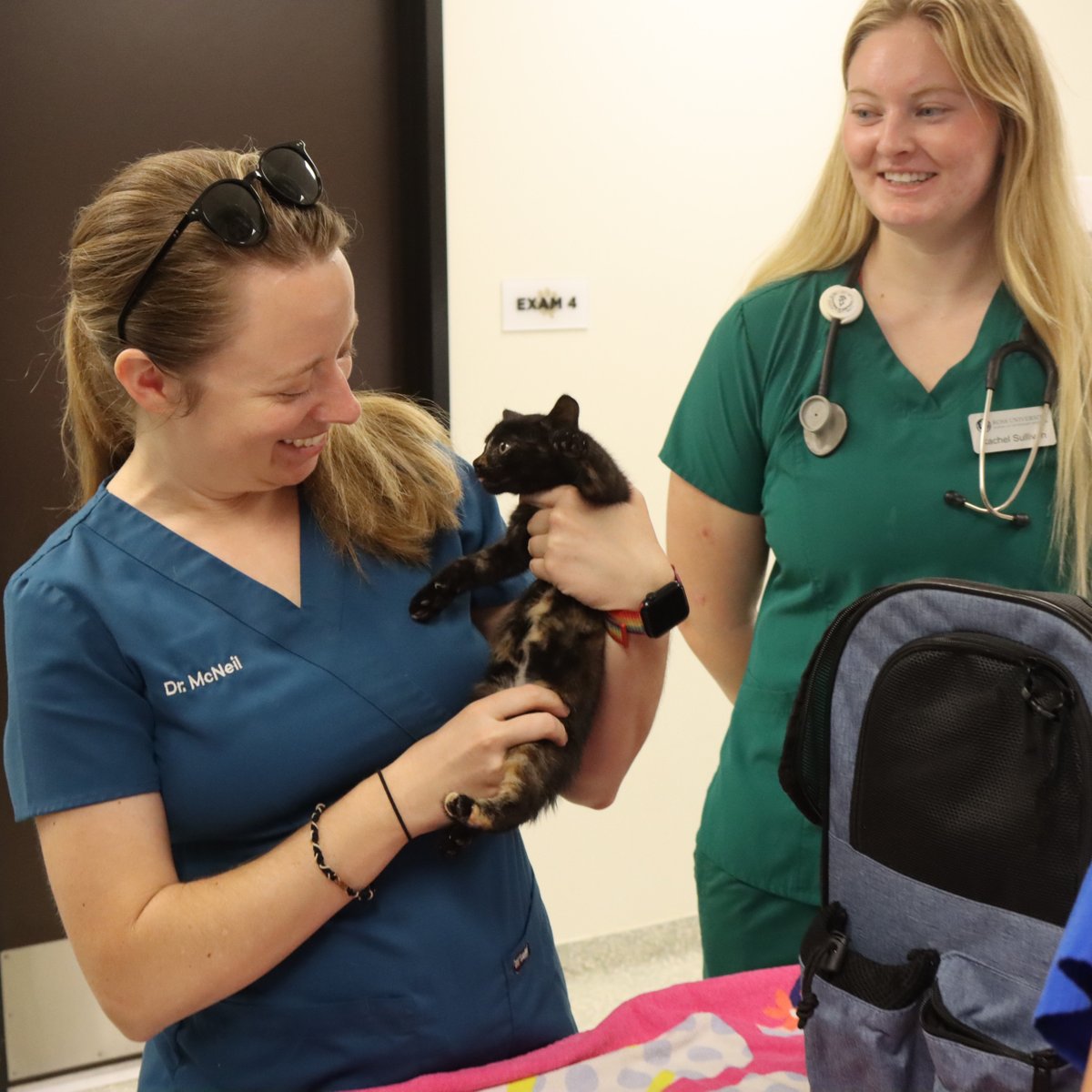 HoustonSPCA's tweet photo. 🐾 Keep your pets healthy and protected with routine veterinary care at the Houston SPCA Veterinary Clinic! From wellness exams and vaccinations to preventive care, our team is here to help your furry family members thrive.

Schedule an appointment today: https://t.co/fUaO0CLKIb https://t.co/RYblsp3xnp