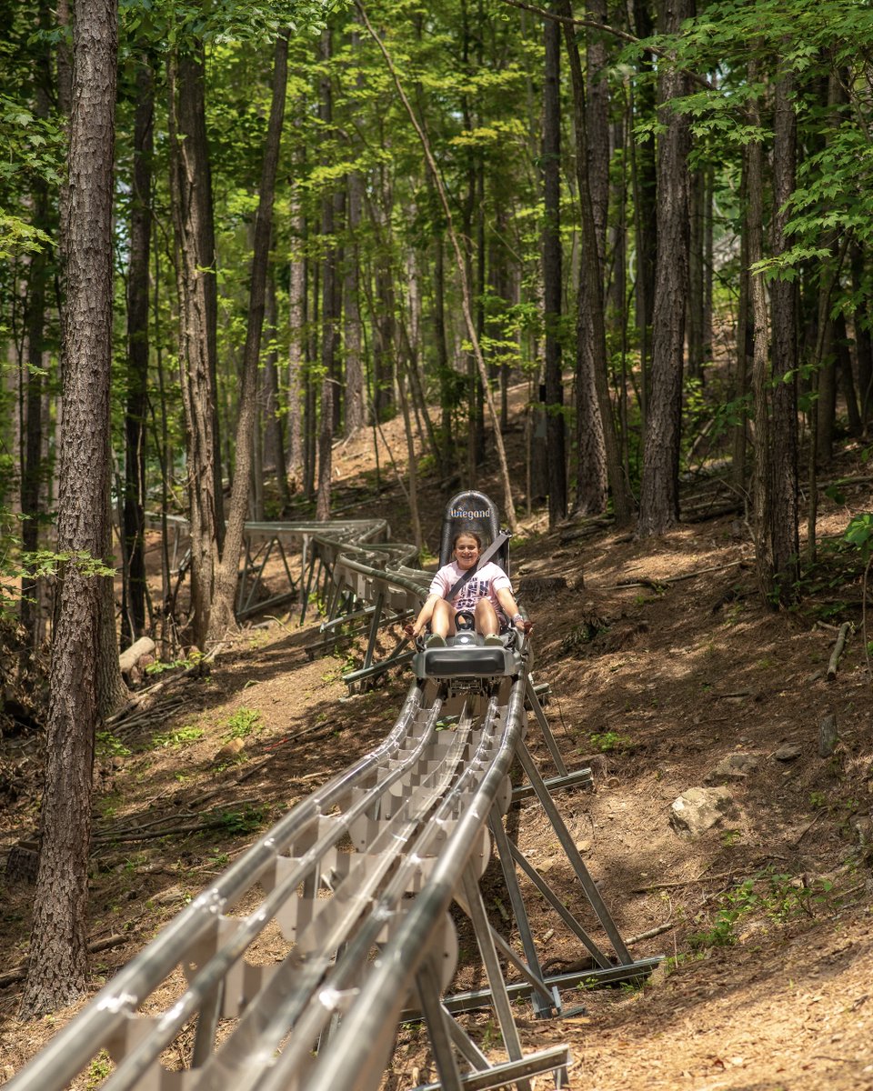 VisitRCNC's tweet photo. โ๏ธ The ultimate family summer getaway is waiting at Jellystone Park Golden Valley! ๐ป๐๏ธ
Make unforgettable memories this season and book your summer stay at the link below!
https://t.co/N8D6towBmd
#RutherfordCountyNC #JellystoneGoldenValley #BlueRidgeFoothills #VisitNC https://t.co/l6INyW6Jro
