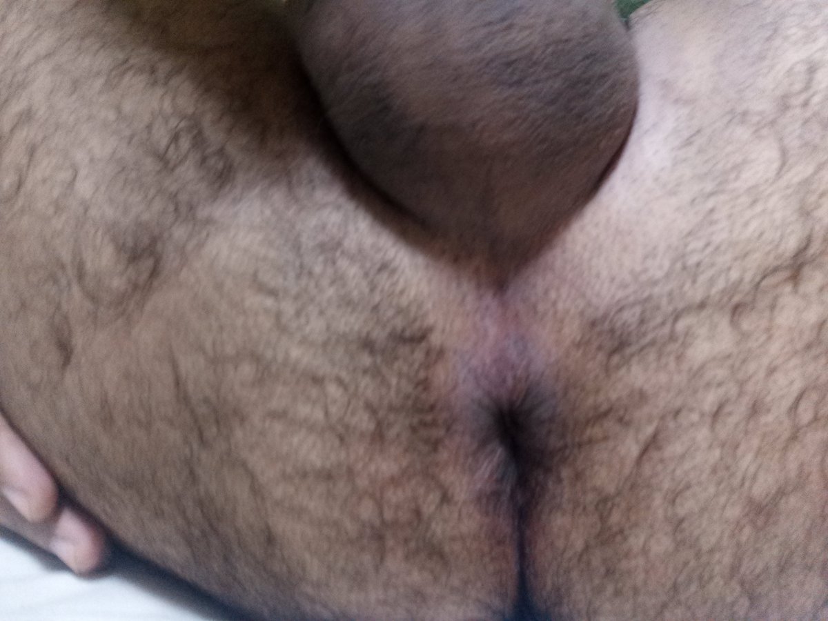 GeorgeHabeas's tweet photo. @bearflix @BearFlixBellies @BearFlixBulges @BearFlixButts @MuscleBearFlix @bbbear_97 https://t.co/j6ReNvMM7D