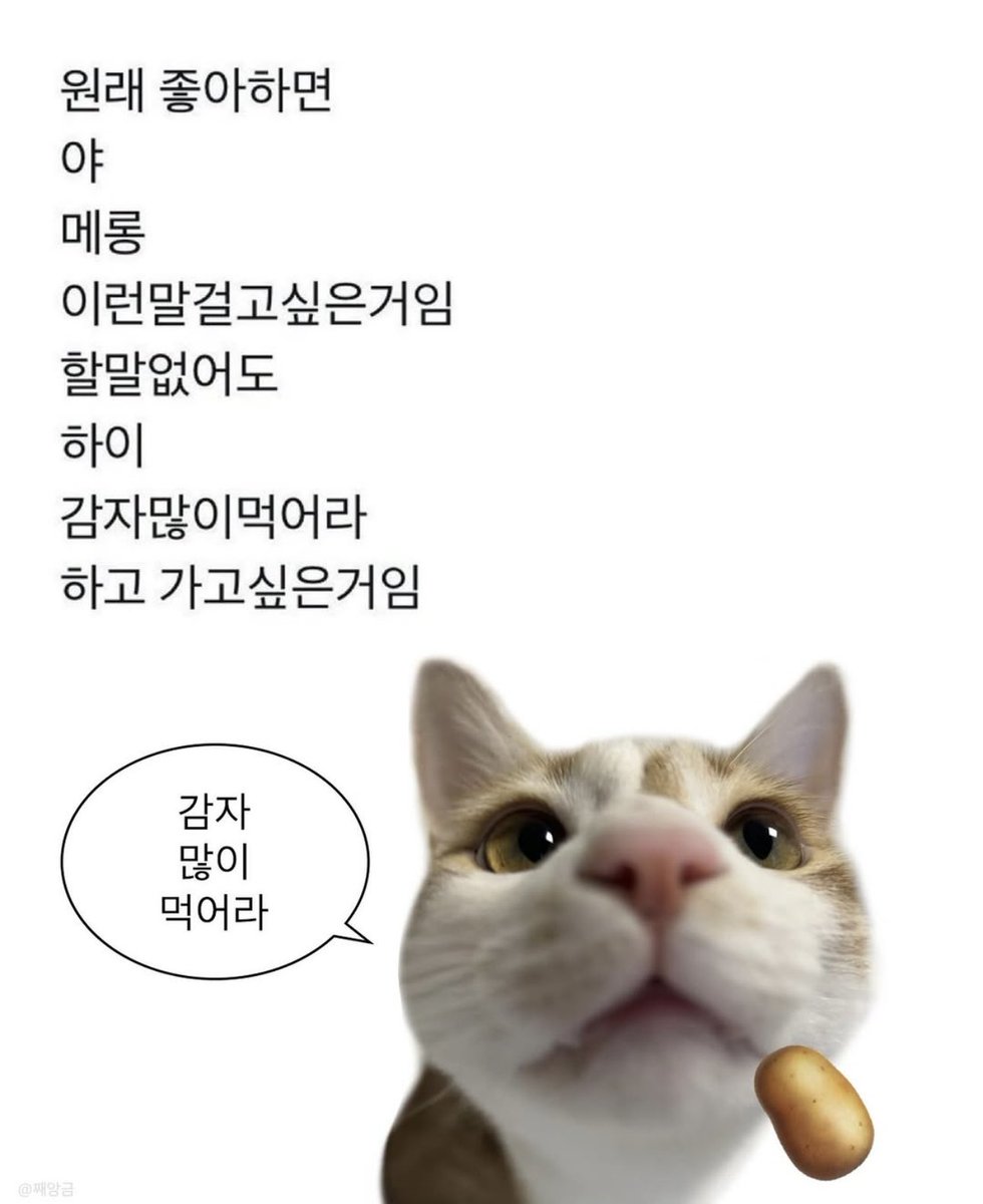 wing_bpm's tweet photo. 건호 야 메롱 하이
감자많이먹어라 https://t.co/enFkDqe9LN