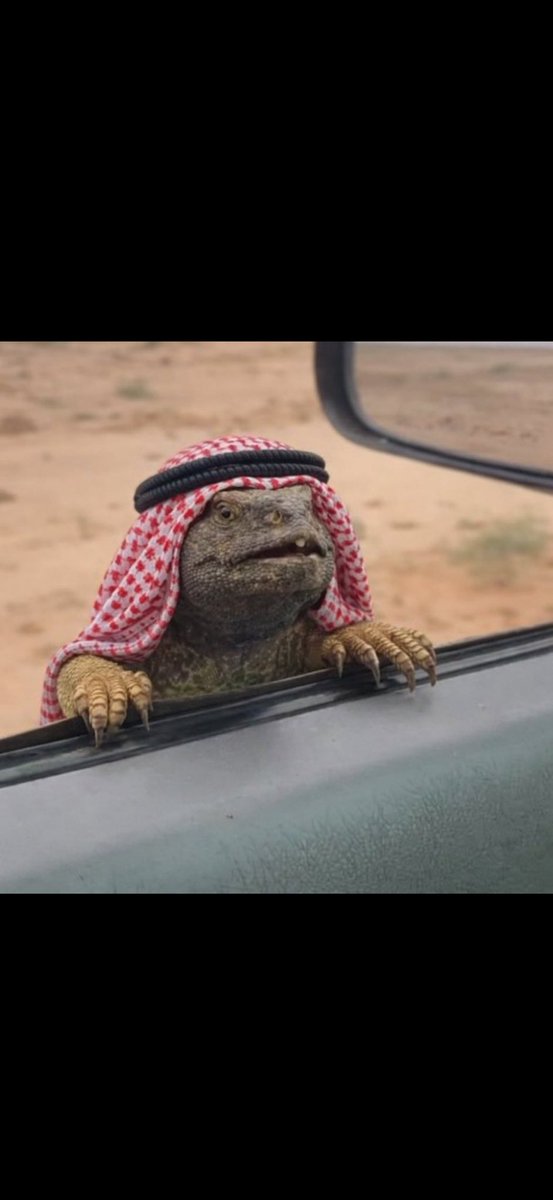 execution_judg's tweet photo. 🤦‍♂️ https://t.co/UzGe9l28ue