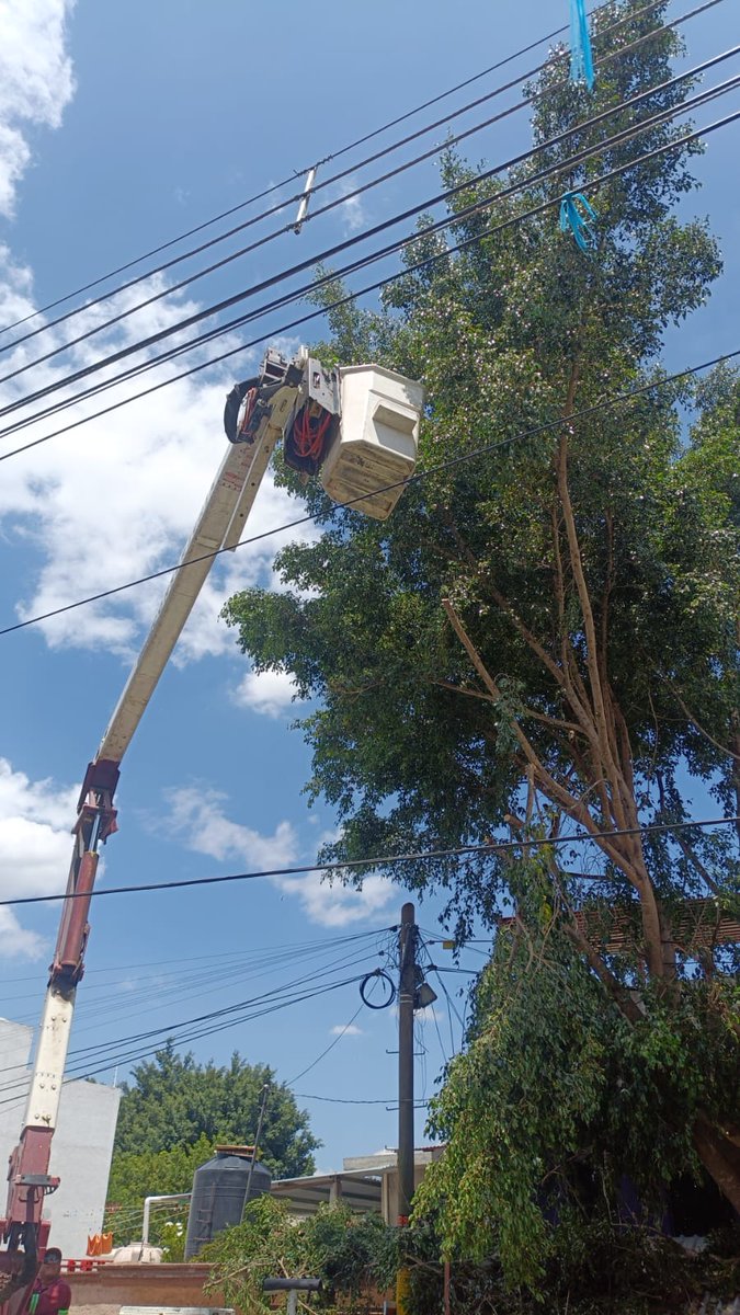 SantaLucia_Ayto's tweet photo. Por instrucción del Presidente Municipal, @JC_GMarquez, personal de Protección Civil Mpal realiza trabajos de poda preventiva de arbolado en la colonia Yalálag, como parte de los compromisos derivados de los recorridos del proyecto municipal “Santa Lucía Segura e Iluminada”. https://t.co/qiqpFdNOwg