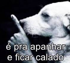 alexandrevpf's tweet photo. @poponze Já vai pintar a mulher de maluca e exagerada https://t.co/pEgsBOfhN9