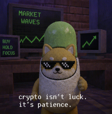 DIP tweet media