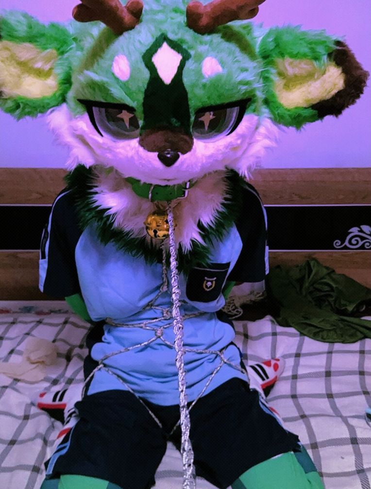 Apple_deer_'s tweet photo. 🥵夜晚乱窜被牵走力）
摄影and绳师：@QuanGuuu https://t.co/wdJzEwTh8K