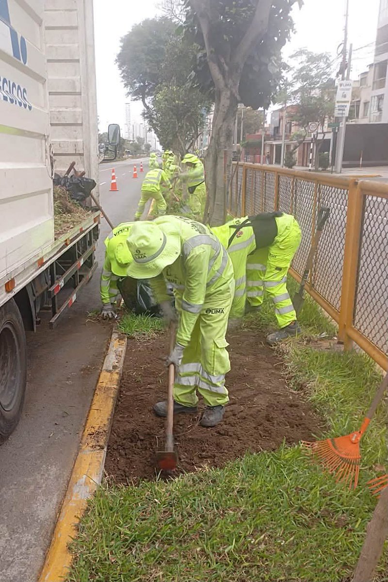 MuniLima's tweet photo. A través de @EmapeMML se viene realizando trabajos de mejoramiento de áreas verdes, arborización y pintado urbano en la avenida Brasil, contribuyendo al orden del entorno y al fortalecimiento de los espacios públicos en beneficio de los vecinos. https://t.co/5DlREMN8QZ