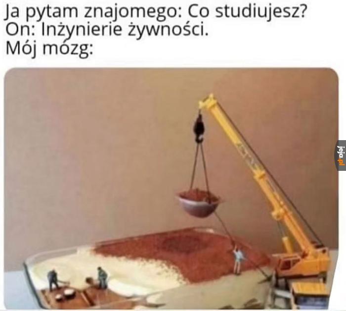 Spaniel_venatio's tweet photo. Inżynieria żywności https://t.co/0GOHWXSuie