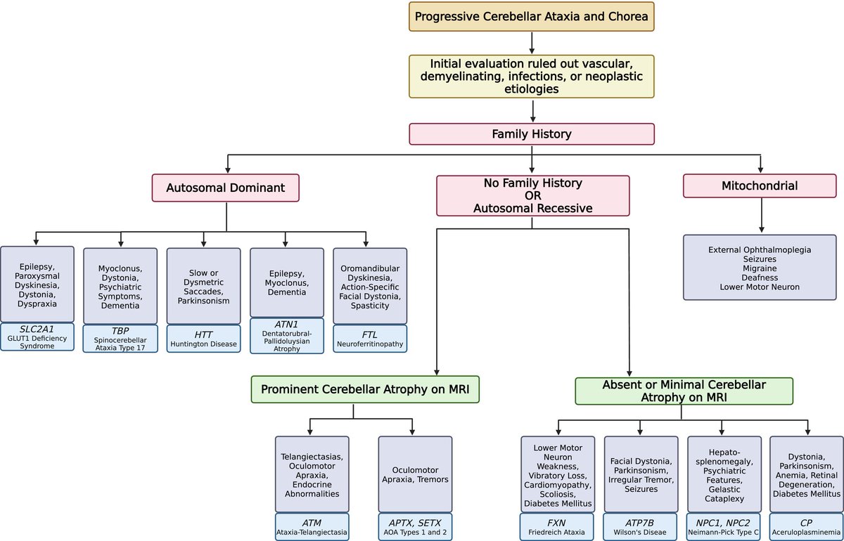 MDCP_Journal's tweet photo. Chorea + cerebellar ataxia? Think beyond isolated syndromes.
This practical review highlights key genetic overlaps: SCA17, HD, DRPLA, A-T, Wilson's, NPC, GLUT1 & more — with distinctive clues (oculomotor, systemic, MRI) & a clear stepwise diagnostic algorithm prioritizing treatable causes.
Essential reading for refining your ataxia-chorea differential! https://t.co/jqz4Ly3UiB