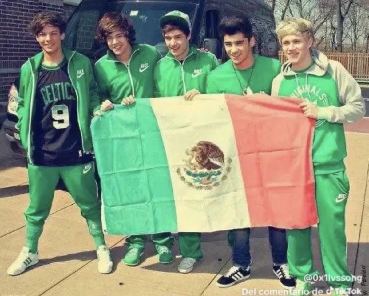 yeagerskz's tweet photo. I miss 1D sooo much it’s insane https://t.co/h3YYgnuBBo