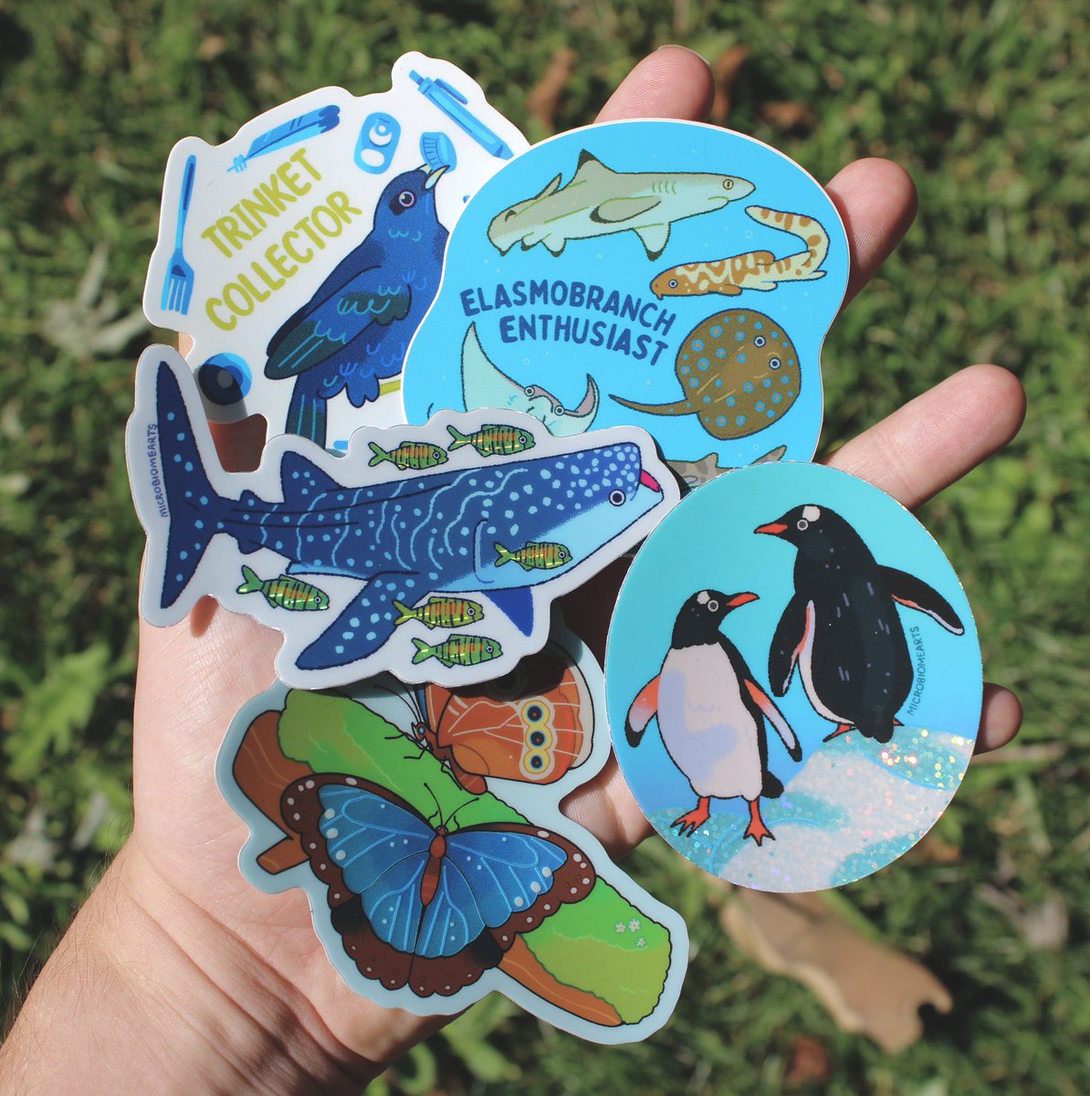 samimarkart's tweet photo. blue sticker collection 💙🦋 https://t.co/dtE0IToO5C