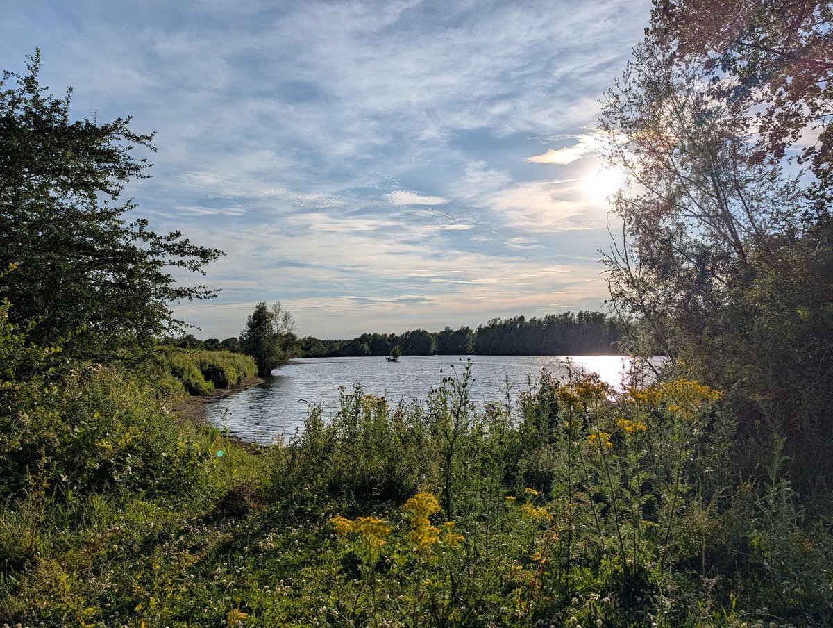 RobSlakhorst tweet picture