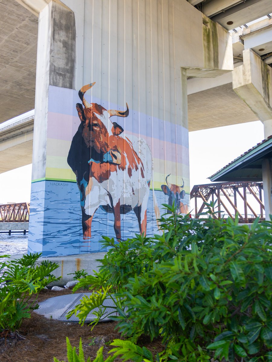 DTJax's tweet photo. Northbank Riverwalk views all Summer long 🌊👟

Jacksonville's Riverwalk is the place to get your steps in this summer! Downtown is home to two Riverwalks, each with its own personality. Stroll the Southbank to Friendship Fountain, #DTJax's iconic waterfront landmark, or head to the Northbank for the reopened McCoy's Creek overpass, home to the lock bridge and David Nackashi Art's Cowford murals at Corkscrew Park.

Explore more in Downtown Jacksonville: https://t.co/BGSaMpNf69 📍