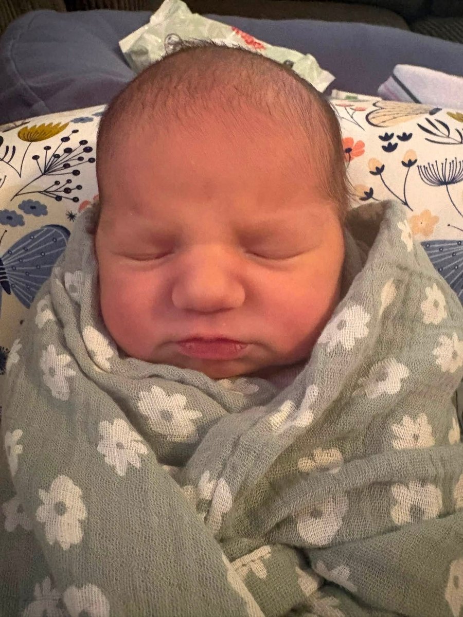 SHPJailMedical's tweet photo. Congrats to Kylie, MTA at Lauderdale County, AL, on the arrival of her granddaughter, Jentry Elizabeth! 💙 Born June 29th at 7 lbs., 3 oz., she’s already stealing hearts 🍼✨ Welcome to the SHP Family, Jentry! 🎉 https://t.co/JPPG6imd9j