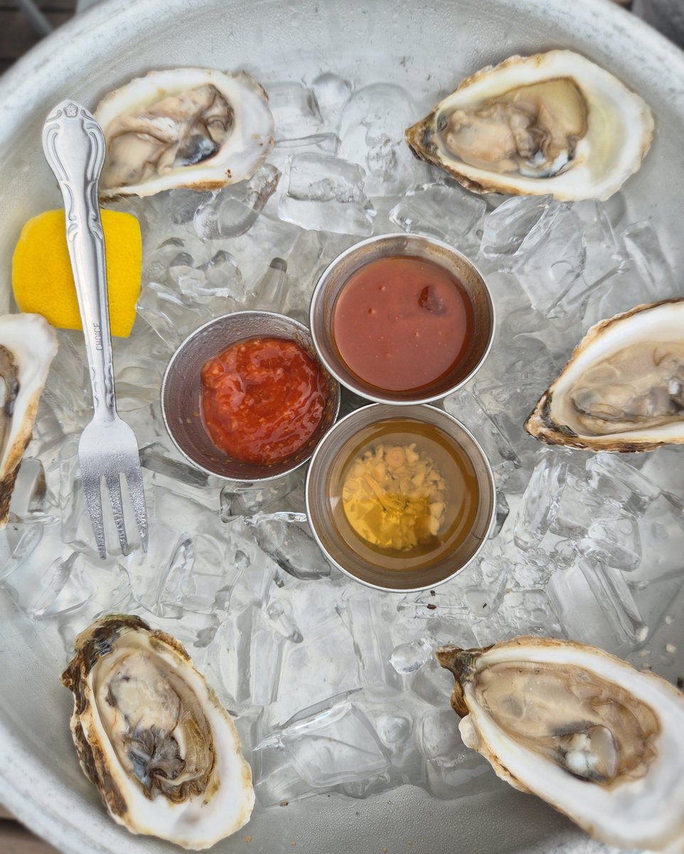 DoctorWife_Life's tweet photo. Oyster time 🦪
📍Ampersea #Baltimore https://t.co/2OwrjBTgkl
