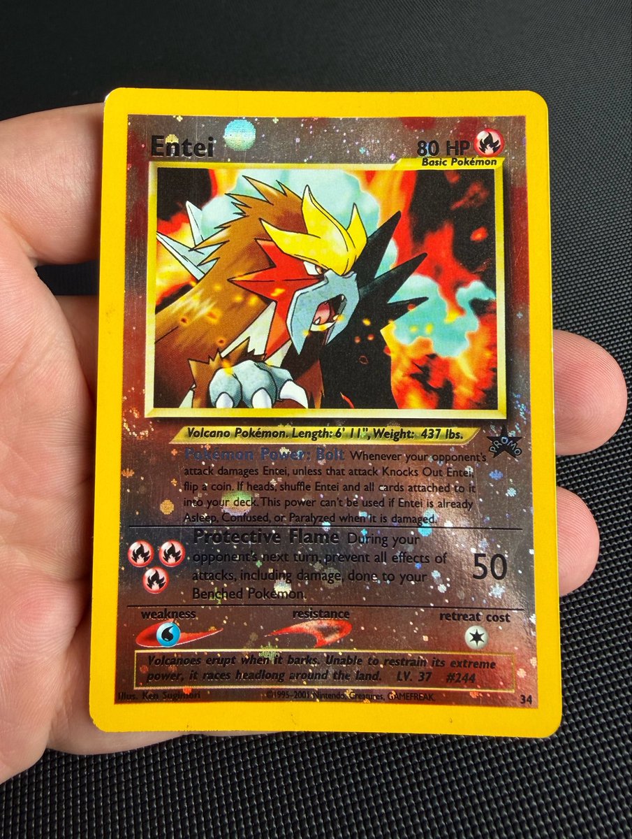 BlueWizardsLab's tweet photo. You walk into your local card shop and while digging through a bulk bin, you find this Black Star Promo Entei with a swirl for $10

Are you buying it? https://t.co/p12ZVAsHtP