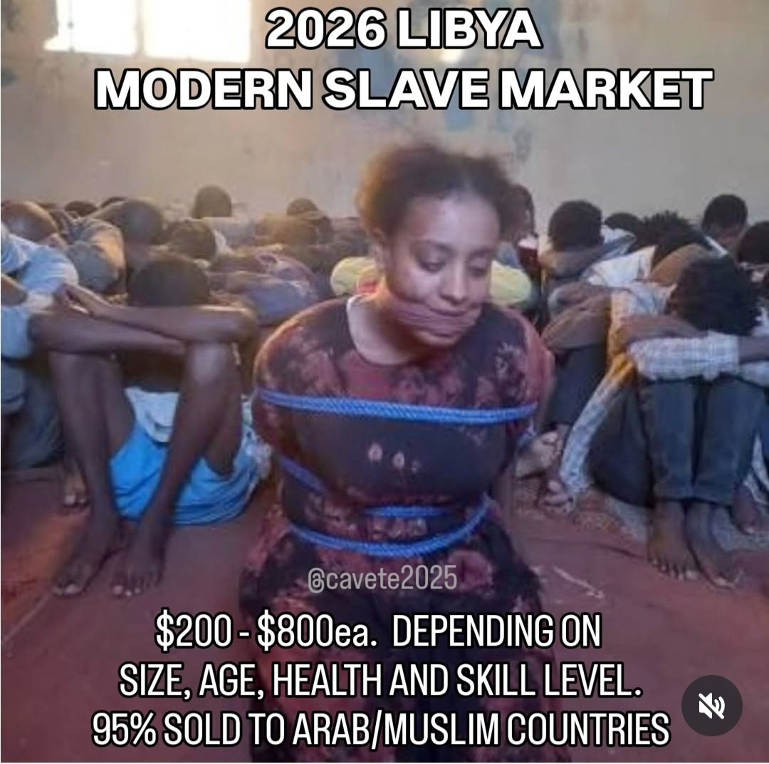 Simoncom11's tweet photo. @AllahGreatQuran What about their lost 🤔 https://t.co/yf1XIEAoaH