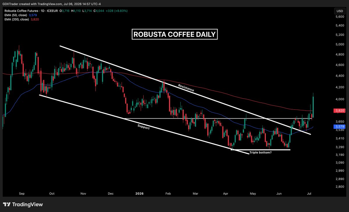 GDXTrader's tweet photo. #RC1!
Last week, #ROBUSTACOFFEE flashed a short-term warning signal with a gravestone doji on Wednesday followed by bearish confirmation on Thursday, suggesting buyers were losing momentum and that a pullback or period of consolidation was becoming more likely.
However, markets react to new information, and today's news of a delayed Brazilian coffee harvest completely shifted sentiment. With Safras & Mercado reporting that Brazil's 26/27 harvest is only 52% complete versus 60% at the same time last year, concerns over near-term supply sparked aggressive buying.
The result was a powerful bullish continuation candle gaining more than 8% and breaking decisively above the 200 EMA. From a trading psychology standpoint, bearish technical expectations were quickly overwhelmed as shorts covered and momentum buyers stepped in, signaling that bulls have regained full control and that the uptrend has reasserted itself.
$JVA $SBUX $NSRGY $KDP $FARM $GIS $MDLZ $KRFT $TTSH $PEET $NESTE $KHC