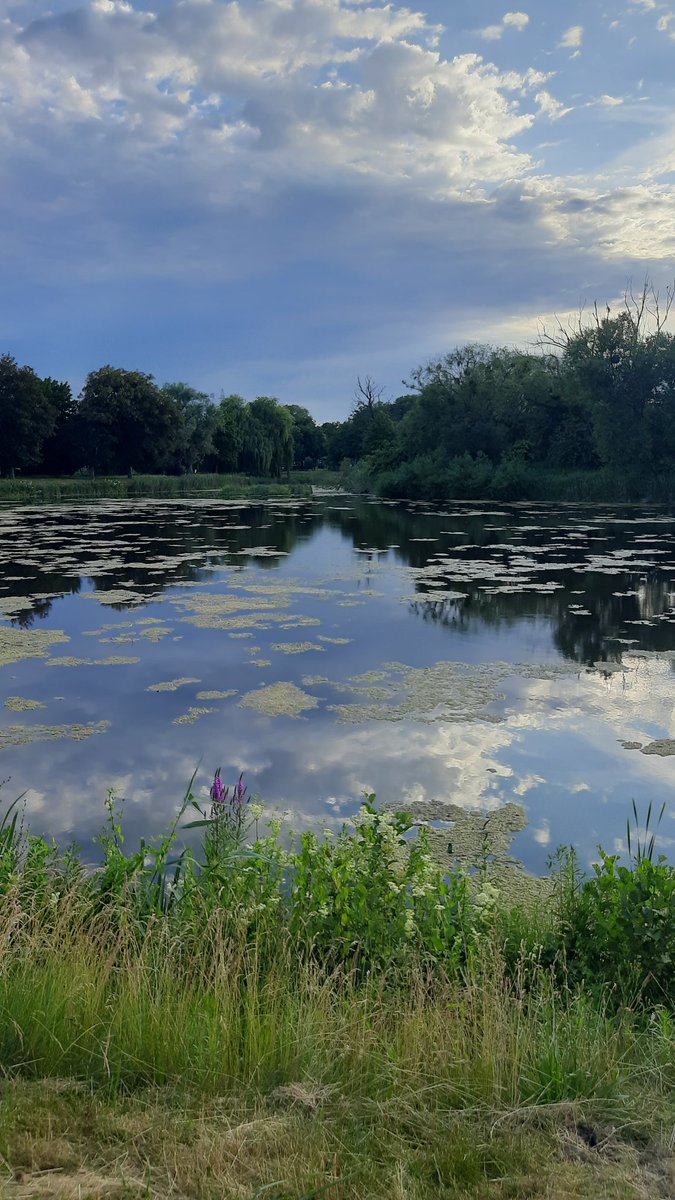 cykada's tweet photo. @wisniewska_nat Mamy wodę w mieście.  Czy tam miasto nad wodą. https://t.co/RdeKlatzuY