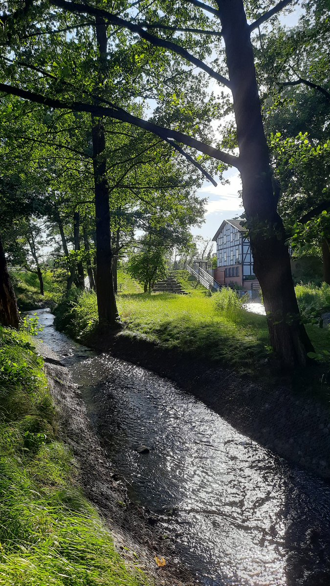 cykada's tweet photo. @wisniewska_nat Mamy wodę w mieście.  Czy tam miasto nad wodą. https://t.co/RdeKlatzuY