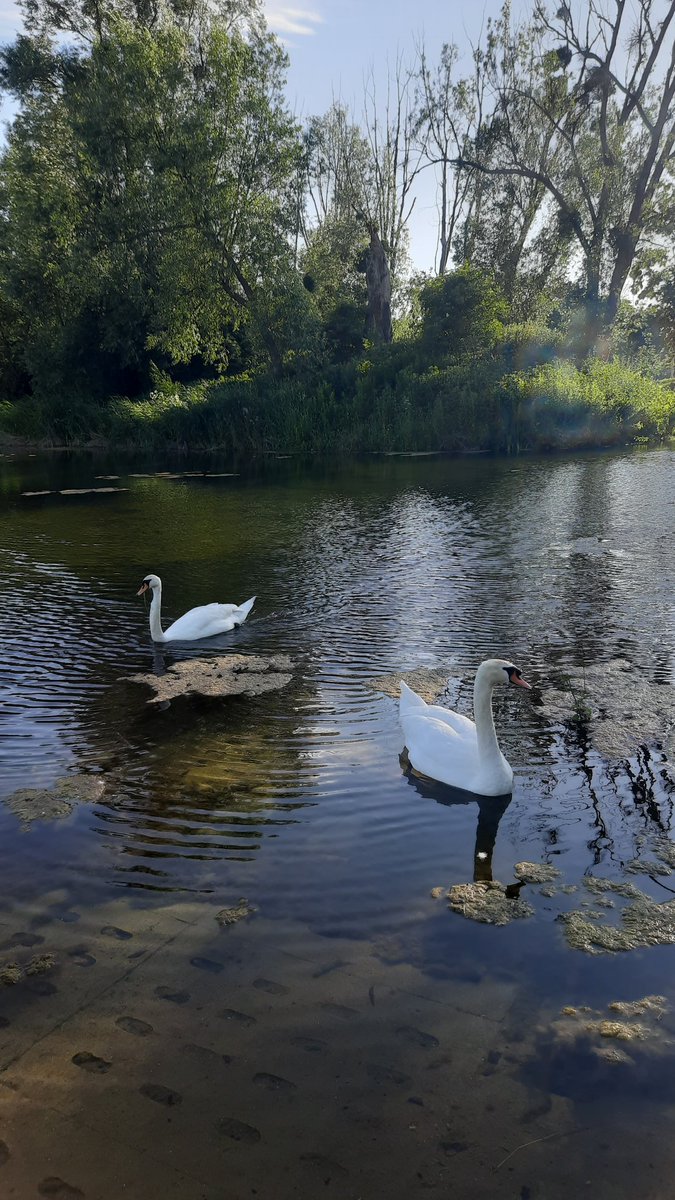 cykada's tweet photo. @wisniewska_nat Mamy wodę w mieście.  Czy tam miasto nad wodą. https://t.co/RdeKlatzuY
