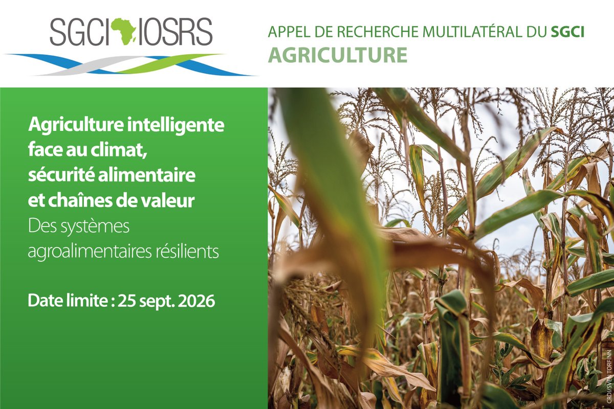 IDRC_CRDI's tweet photo. Transformer l’agroalimentaire africain! 

Chercheur·euse·s d’Afrique, répondez à l’appel de #recherche @SGCIAfrica: climat, sécurité alimentaire et chaînes de valeur pour stimuler la résilience et productivité. 

📆 25 sept 2026 : https://t.co/rrTLTZfRwo

#STISA2034 https://t.co/ywKEJyTWks