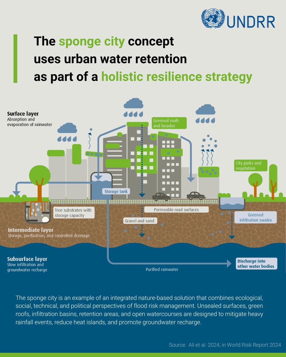 UNDRR's tweet photo. 🧽 Sponge cities absorb risk and restore balance.🏙️

Cities can’t keep paving over nature and expect resilience to follow. Sponge cities blend ecology, technology, &amp; urban governance to reduce flood &amp; heat risks – for a better quality of life. 🌿

🌱 https://t.co/uHvu4nGlkz https://t.co/RWfDFzbYrs