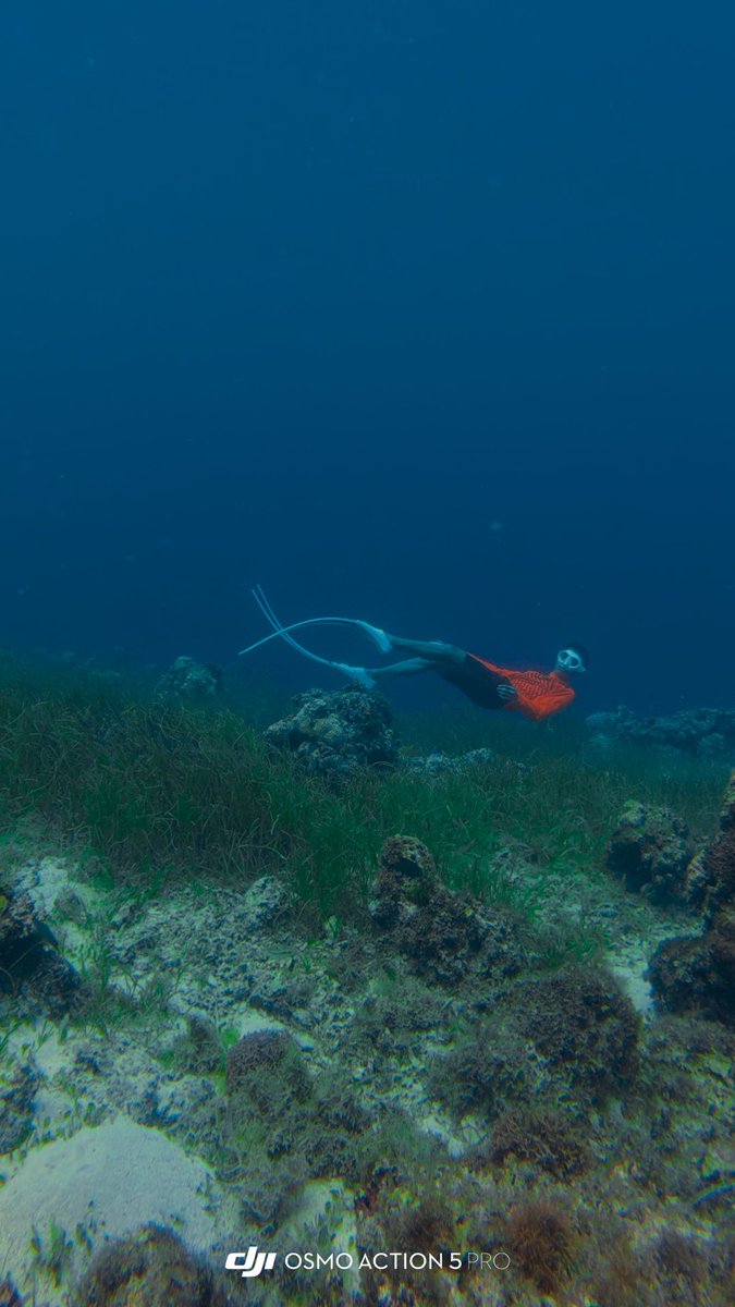 Nonitzz1's tweet photo. Im Enjoying freediving now https://t.co/7cATygc7qf