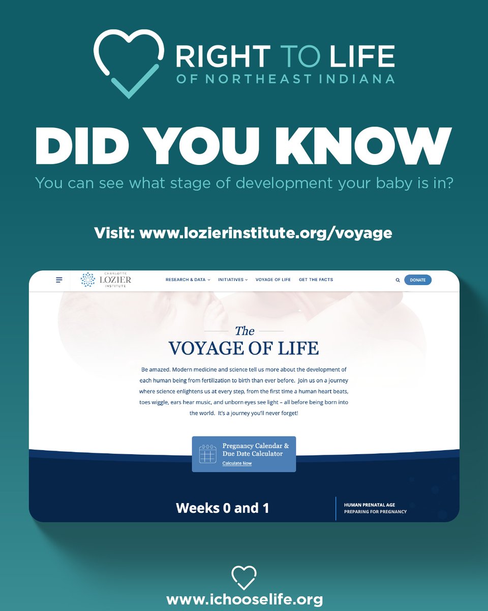 PlasmaDAO_'s tweet photo. Did you know that you can see what stage of development your baby is in?!

Visit https://t.co/0cauIevNwY to see how far along you are, your baby's current stage of development, and lots of interesting facts!
#righttolife #prolife #development #life #pregnant https://t.co/Wk7U62N6FQ