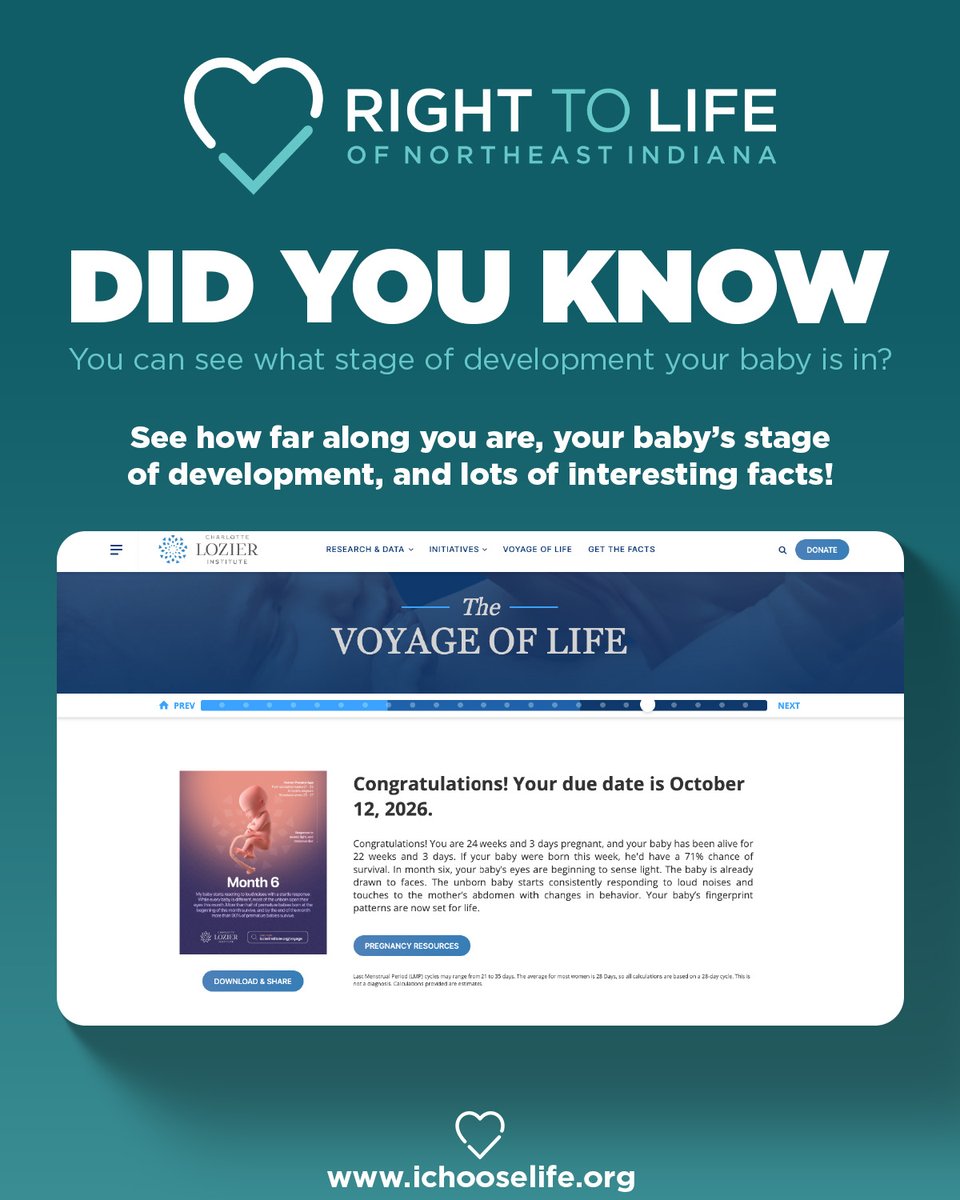 PlasmaDAO_'s tweet photo. Did you know that you can see what stage of development your baby is in?!

Visit https://t.co/0cauIevNwY to see how far along you are, your baby's current stage of development, and lots of interesting facts!
#righttolife #prolife #development #life #pregnant https://t.co/Wk7U62N6FQ