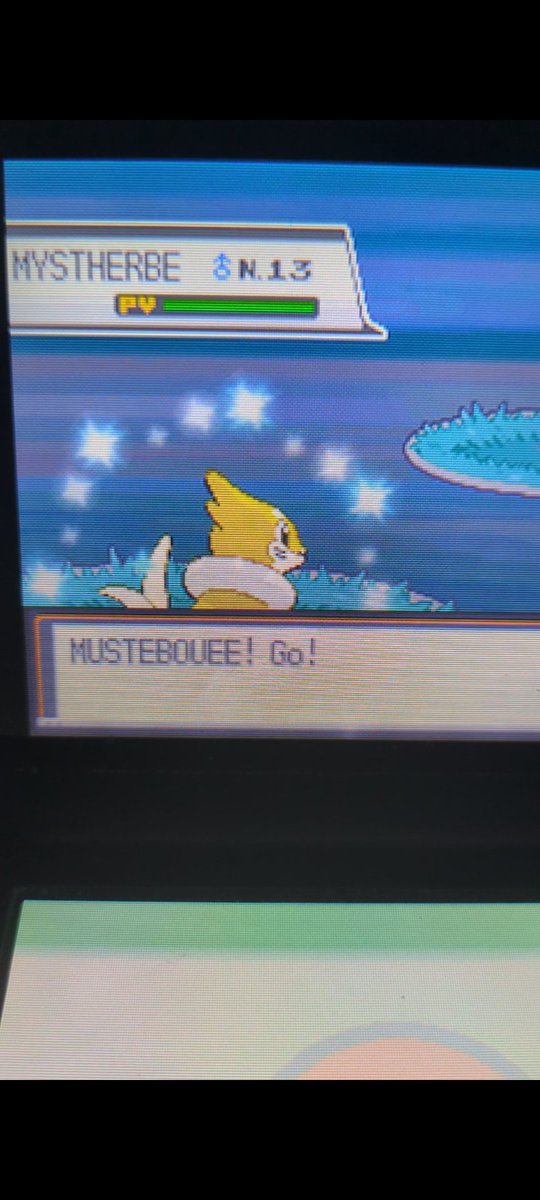 Valium_SH's tweet photo. Shiny Buizel in HeartGold/SoulSilver after 2,531 encounters using the radio.

This is a rarely attempted hunt; I don't think I've even seen it done once before.
One more added to my long-running quest to get every Shiny via the radio. https://t.co/9hgRIrnGDT