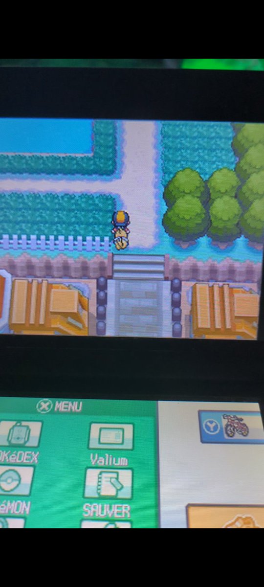 Valium_SH's tweet photo. Shiny Buizel in HeartGold/SoulSilver after 2,531 encounters using the radio.

This is a rarely attempted hunt; I don't think I've even seen it done once before.
One more added to my long-running quest to get every Shiny via the radio. https://t.co/9hgRIrnGDT