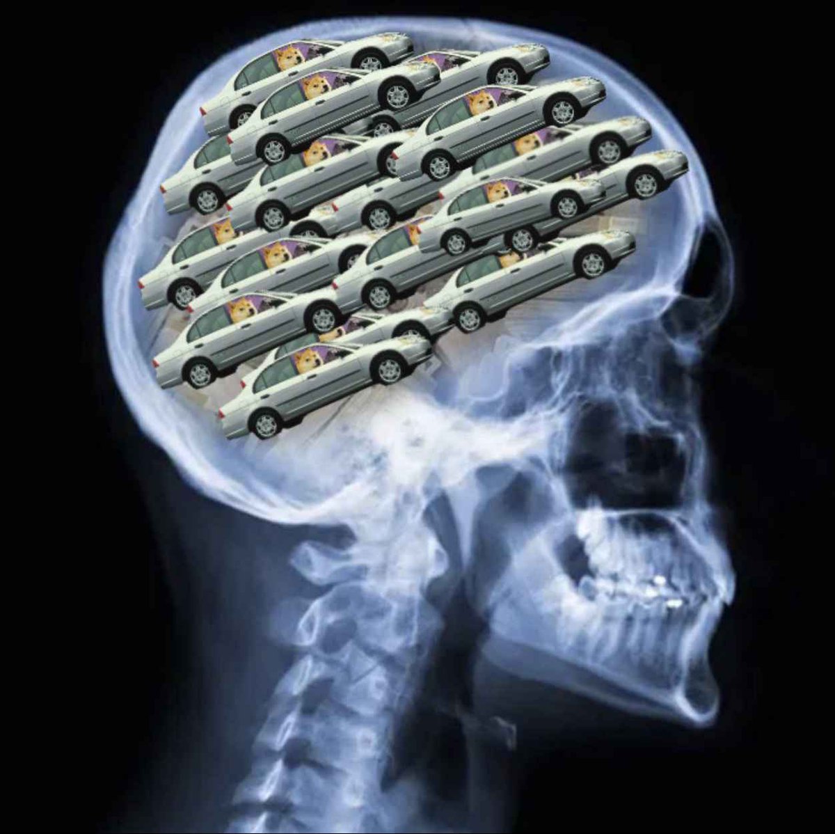 USEDCARSOLANA's tweet photo. fully locked in https://t.co/uUcU4Uc8fM