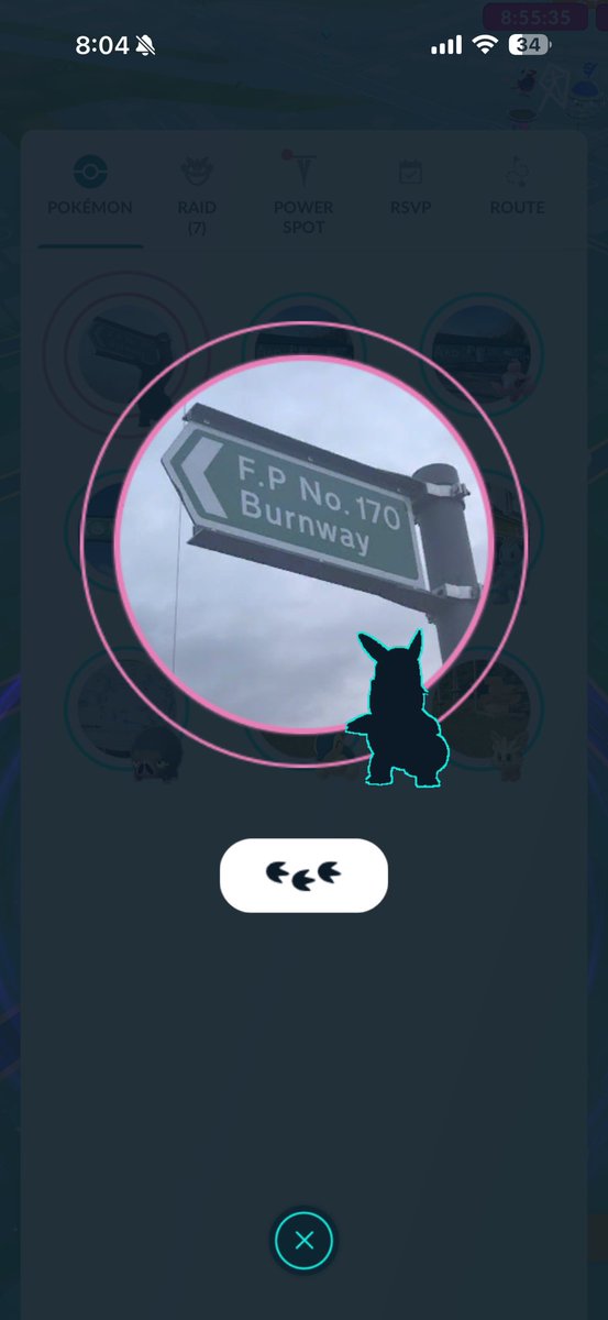 danismith02x's tweet photo. @g47ix - are these the pikachu hat squirtles? are they supposed to be spawning now? https://t.co/t4Zwaiy2sp